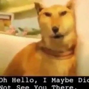 Meet your Posher, Cade